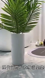 Quickly Dry Diatom Mud Bathroom Mat Rubber Backed Rug for Bathroom Door Toilet Carpet Water Absorbent Kitchen Mat