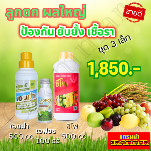 🔥🔥 ส่งฟรี 🔥🔥 เอมม่า ปุ๋ยน้ำเอมม่า  ( 500 ซีซี ) ป้องกันเชื้อรา + ซีโฟ ปุ๋ยน้ำซีโฟ ( 500 ซีซี ) + เอฟอช Aforch ( 100 ซีซี ) สารจับใบ ของแท้ 100%