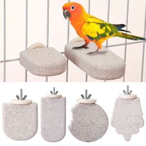 R1A9M Wear-resistant Parrot Standing Pole Non-slip Easy Installation Bird Teeth Chew Toy Practical Safe Parrot Biting Stick Hamster
