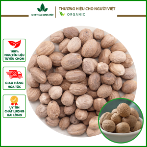 Nhục đậu khấu 500g nutmeg hạt to thơm sạch gia vị nấu ăn làm bánh - Chợ Thảo Dược Việt