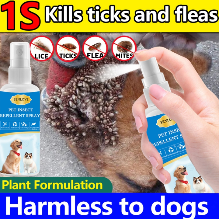 Curated visual reference: Gallery Detail: Senlove 3 Seconds To Kill Ticks Tick And Flea Killer