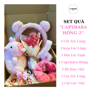 Quà Sinh Nhật LINDO Set Quà Capybara Cute Tặng Bạn Gái Các Dịp Đặc Biệt 8/3 20/10 Valentine