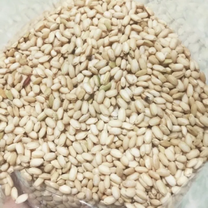 NẾP LỨT BẮC 1KG ( HÀNG MỚI DẺO)