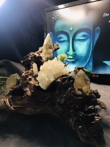 Hốc gỗ đá Thạch Anh trắng trong suốt hút tài lộc phong thủy đá thiên nhiên cao cấp xuất khẩu