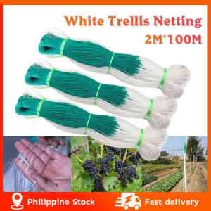 [Spot +24hours delivery]Garden Plant Climbing Net Cucumber Vegetables Trellis Net Plant Support Netting White Nylon Support Mesh 2Mx100M
