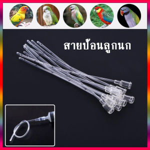2 ชิ้น /แพ็ค สายป้อนอาหารลูกนก สายป้อนอาหารนก ป้อนได้ง่ายขึ้น ยาวประมาณ 12ซม