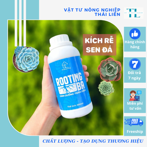[Siêu kích rễ] Dung Dịch Kích Rễ ROOTING BA Dùng Cho Sen Đá, Kiểng Lá ...