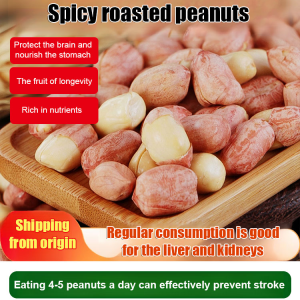 Five Spice Roasted Peanuts Ready to Eat Snack Independent Small Packaged Fried Nuts Appetizer Roasted Red-Skin Peanuts