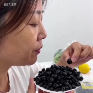 【BUY 1 TAKE 1】Dried Blueberries (Organic No Sugar AddedDried blueberry snacks)