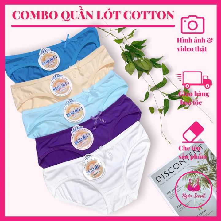 Combo Quần lót nữ Cotton, Co dãn, Thấm hút mồ hôi, đủ size nhiều màu ...