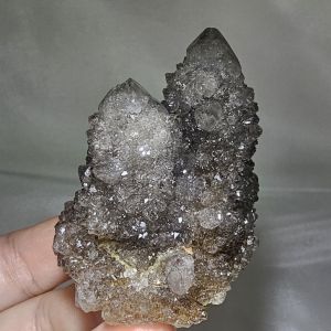南非黑晶仙人掌水晶摆件/矿标矿物/晶簇/ Black Cactus Quartz Specimen/Crystal Figurine/ Black Spirit Quartz (Fairy Quartz)
