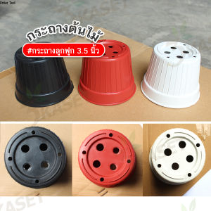 กระถางแคคตัสทรงลูกฟูก กระถางกระบองเพชร กระถางต้นไม้ ขนาด 3.5นิ้ว