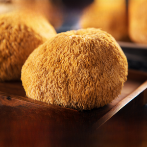 เห็ดชิตาเกะแห้งที่เก็บเกี่ยว 24 ปี พรีเมียม ธรรมชาติ 500 กรัม จากทุ่งนาโบราณ เหมาะสำหรับอาหารเช้าบำรุงกระเพาะ