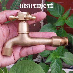 Vòi nước cao cấp chất liệu đồng thau siêu bền phong cách sang trọng
