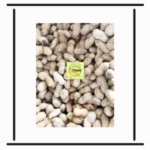 Kacang Kulit Oven / kacang oven / kacang Curah 500 gr / snack murah sby