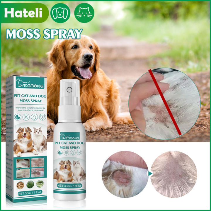 Hateli mèo cưng và chó rêu phun loại bỏ Mite làm sạch Relief vật nuôi ...