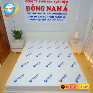 [MUA 1 TẶNG 10]Nệm FOAM than hoạt tính LUXURY ĐÔNG NAM Á kháng khuẩn thoáng khí cực kỳ êm ái giao hàng toàn quốc