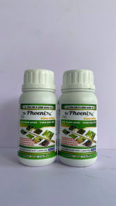 Nấm hồng ghẻ sẹo vàng lá cho cây trồng - Nano Đồng (Dr phoenix) chai 100ml