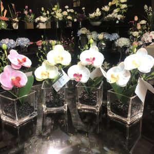 แจกันดอกไม้ปลอมขนาดเล็ก ดอกกล้วยไม้พร้อมแจกันแก้ว