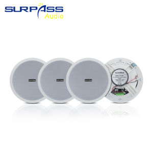 8inch Bluetooth Ceiling Speaker 20W Built In Digital Class D Amplifier Moisture-proof Roof Music Speakers Ceiling Mount System