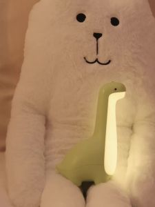 Dinosaur Night Light Cute Childrens Night Light Eye Protection Bedside Timing Lamp USB Charging Room Decoration Childrens Gift2026