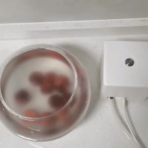 btnx Disinfectants and disinfectants food purifiers production detergents household use of vegetables and fruit washing machines T6H1N