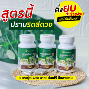 (เซ๊ต 3 กระปุก ส่งฟรี)  ริดสีดวง บ้านคุณจันทร์  ติ่ง โผล่ ปราบริดสีดวง สมุนไพร