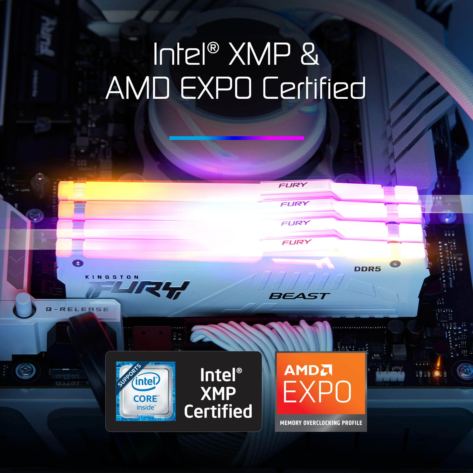 Kingston Fury Beast RGB DDR5 32GB/64GB Kit of 2 DRAM Intel XMP Gaming Desktop Memory White