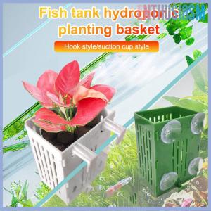 【Enthusiasm】🌟🌟【Hot Sale】🎈 ที่แขวนแก้วแบบดูดสำหรับใส่ตู้ปลาที่ใส่กระถางต้นไม้พลาสติกสำหรับกระถางกระถางในน้ำกล่องตกแต่ง