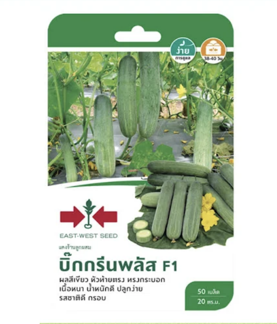 เมล็ดพันธุ์แตงร้าน บิ๊กกรีนพลัส F1 ศรแดง