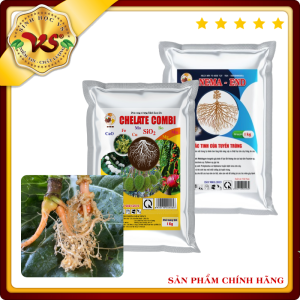 Bộ đôi khắc chế tuyến trùng và tái tạo rễ mới NEMA END 1kg + Phân CHELATE COMBI 1kg