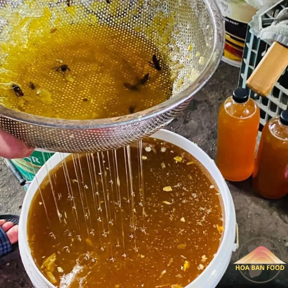 Mật ong rừng Tây Bắc Món quà của thiên nhiên ban tặng