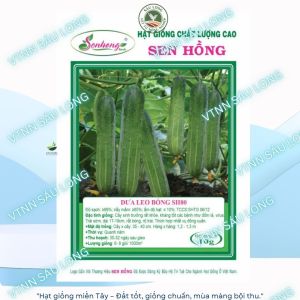 Dưa Leo SH 80 trái dài 18-20cm màu xanh bóng có gai gói 10g ( khoảng 380-400 hạt)