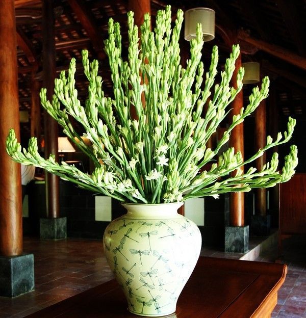 COMBO%205%20C%E1%BB%A6%20HOA%20GI%E1%BB%90NG%20HOA%20HU%E1%BB%86%20TA%20TR%E1%BA%AENG%20TH%C6%A0M%20(HOA%20D%E1%BA%A0%20LAI%20H%C6%AF%C6%A0NG)%20-%20CB5CGHHTTT%20-%20Image%206