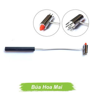 Búa Hoa Mai Diện Chẩn