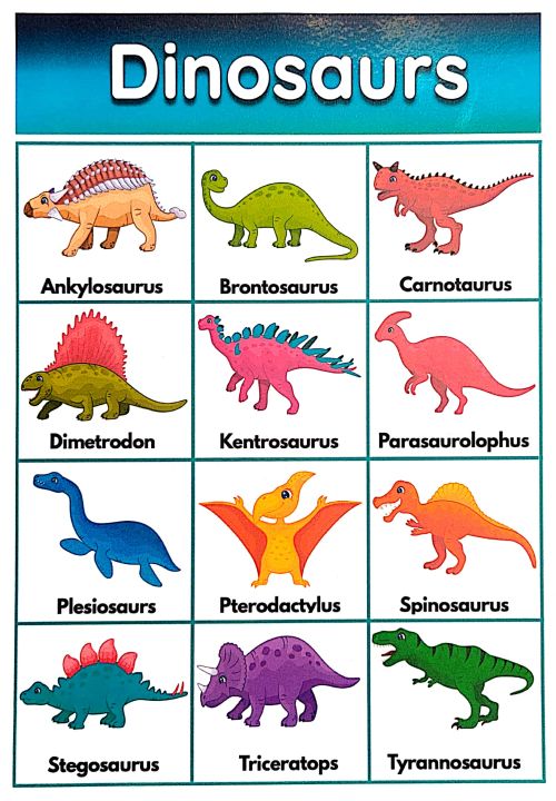 Dinosaurs - Laminated Chart | Lazada PH