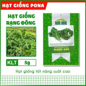 Hạt giống Cải xoăn (Cải Kale) RADO 686 (5g) - Hạt giống Rạng Đông
