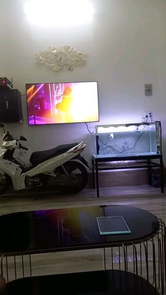 Buyer review video 2