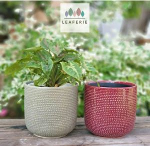 The Leaferie Carmel Flowerpot  flowerpots . flower pot . plant pots . planter . planters . Ceramic . Plants