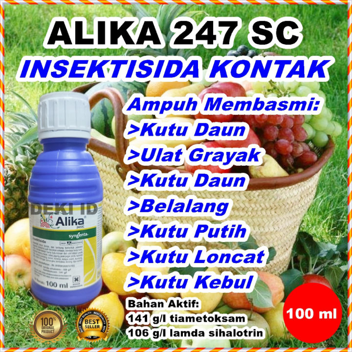 Xizmatkor porno katalog