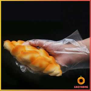 ถุงมือพลาสติก ถุงมือแบบใส  แบบใช้ครั้งเดียวทิ้ง PE disposable gloves Cozy