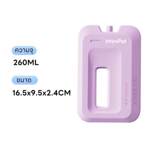 Ice Brick ไอซ์แพค 260/460/660ml เก็บความเย็น ไม่ต้องเติมน้ำ เจลเก็บความเย็น น้ำแข็งเทียม