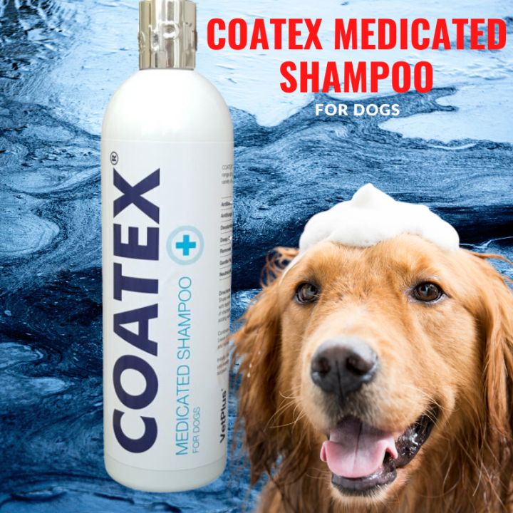 VetPlus Coatex Medicated Shampoo for Dogs & Cats 250ml anti bacterial