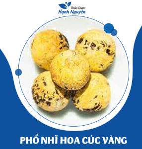 10 set trà giàu vitamin A hỗ trợ chống lão hóa hiệu quả trà detox đẹp da giảm cân - Thảo Dược Hạnh Nguyên