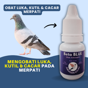 Obat Luka Merpati Korengan Kutil Dan Cacar Biar Cepat Sembuh