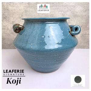 The Leaferie Signature Koji Plant pot Ceramic flowerpot flower plant pots planter planters