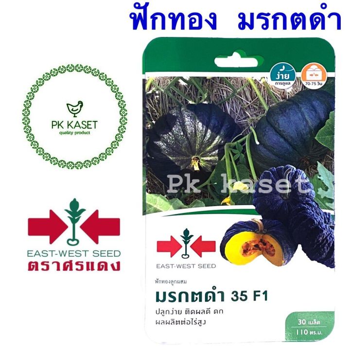 เมล็ดฟักทอง มรกตดำ 35 F1 ศรแดง สำหรับทำอาหารและขนม