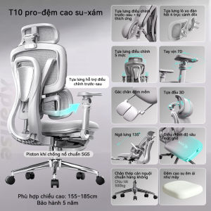 Ghế công thái học Xpanse T10 Đuổi theo độ cong lưng động bằng lò xo độc lập Đẩy trước nâng đỡ chính xác vùng thắt lưng | ghế làm việc | ghế gaming