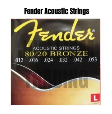 Fender Acoustic Guitar String One Set