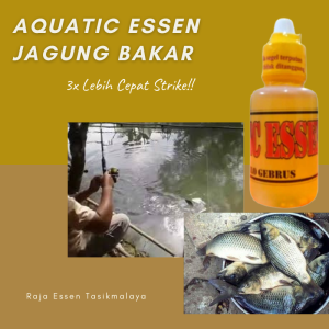 Essen Aroma Jagung Bakar Paling Ampuh Essen Semua Ikan Paling Ampuh Essen Jagung Bakar Untuk Ikan Mas Terlaris Aquatic Essen 100% Produk Sendiri Kemasan Tersegel Rapi Kualitas Essen Terjaga - Lazada